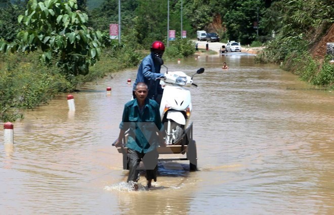 Vietnam responds to International Day for Disaster Reduction - ảnh 1